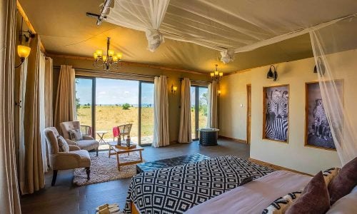 serengeti river camp 1