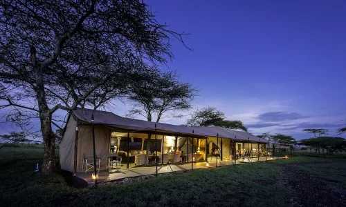 serengeti sametu-camp
