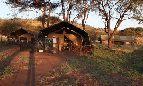 serengeto osupuko tented lodge
