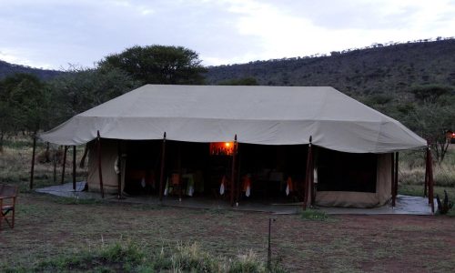 serengeto osupuko tented lodge