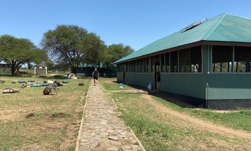 seronera public campsite