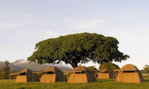 seronera public campsite