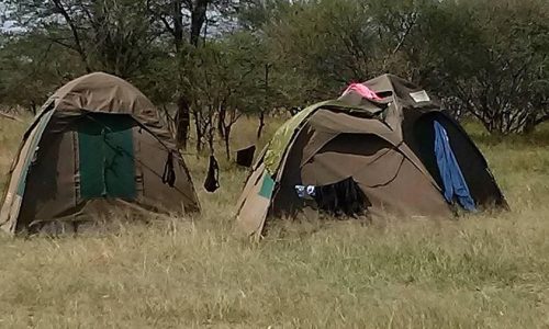 seronera public campsite