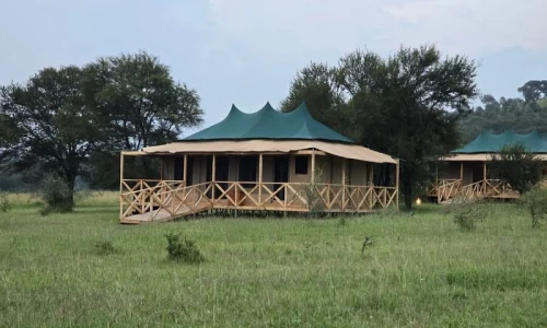 signatur-serengeti-lyxigt-tält-safariläger