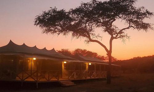 Tanzania Luxury Safari