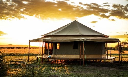 Serengeti Sound Of Silence