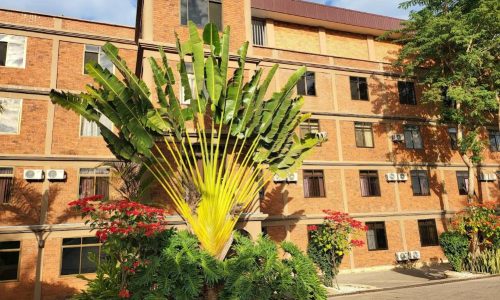 safari loža na vrhu