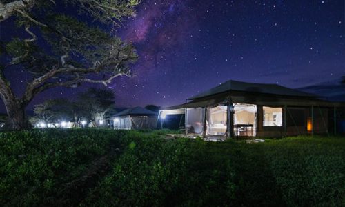 serengeti tanzania bush camp