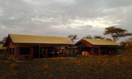 serengeti tanzania bush camp