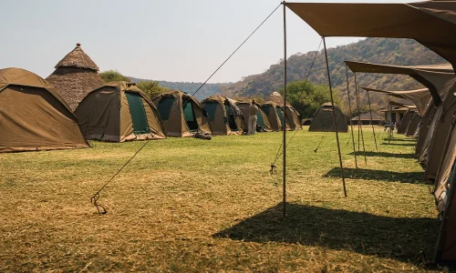 tarangire campsite