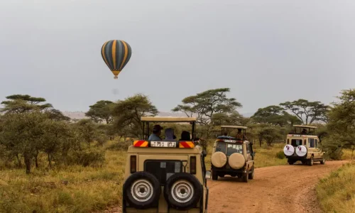 2 week Tanzania safari