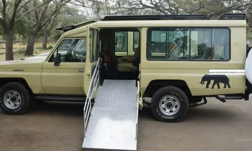 Disabled Friendly Serengeti Safari Tour