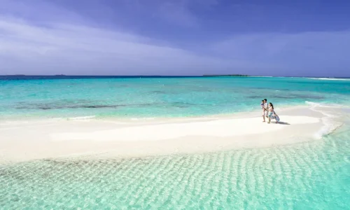 11 days safari and zanzibar