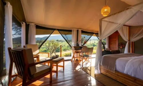 2 Days Tanzania Mid-Range Safari